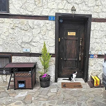 Miletia * Sozopol