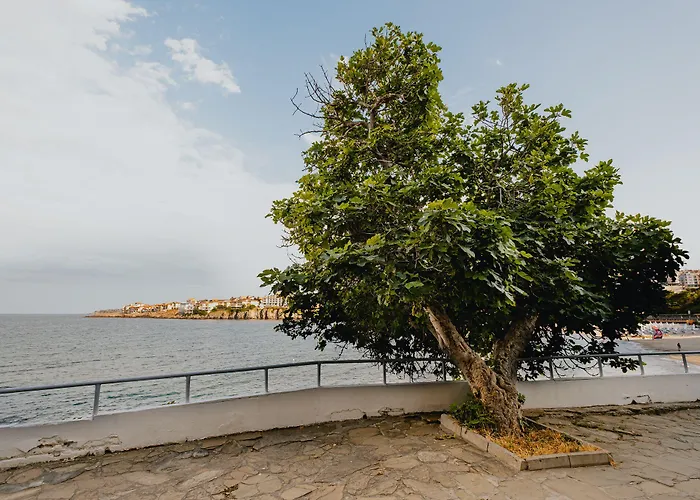 Miletia Hotel Sozopol